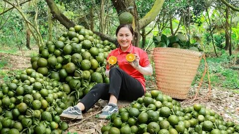 Sự Bùng Nổ Của Video Ngắn và Trí Tuệ Nhân Tạo: Vai Trò Thiết Yếu Của Đào Tạo Kỹ Năng Sáng Tạo Nội Dung_Sự kiện Ma trận điểm nóng