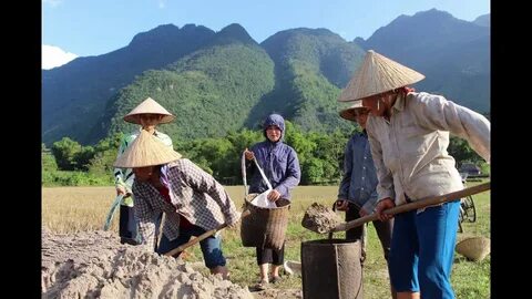 Cách Khởi Nghiệp Kiếm Tiền Bán Thời Gian Dành Cho Người Mới_Ý tưởng sáng tạo nội dung